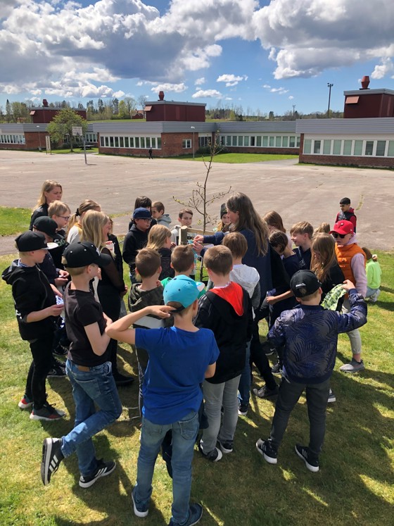 Konstnär Ulrika planterar en ek tillsammans med eleverna